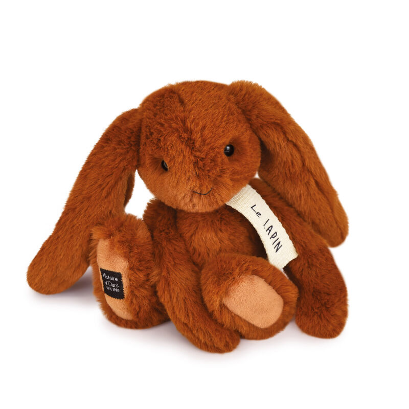 Doudou flat reversible bear rabbit Teddy bear cache cache - SOS bla